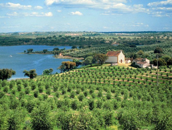 Herdade No Tempo: Portugal’s New Eco-Community in the Heart of Alentejo