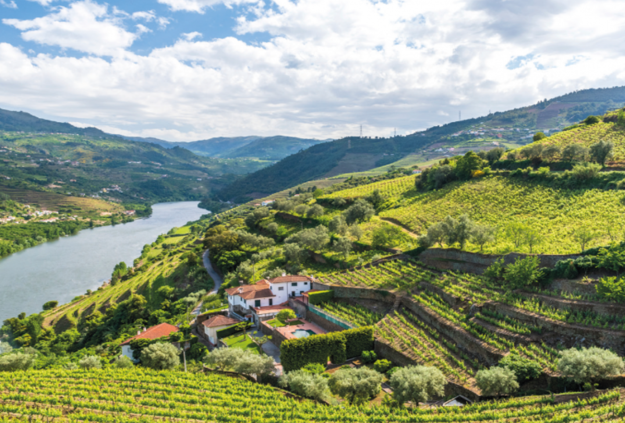 Quinta: History, Meaning and Modern Role of Traditional Estates