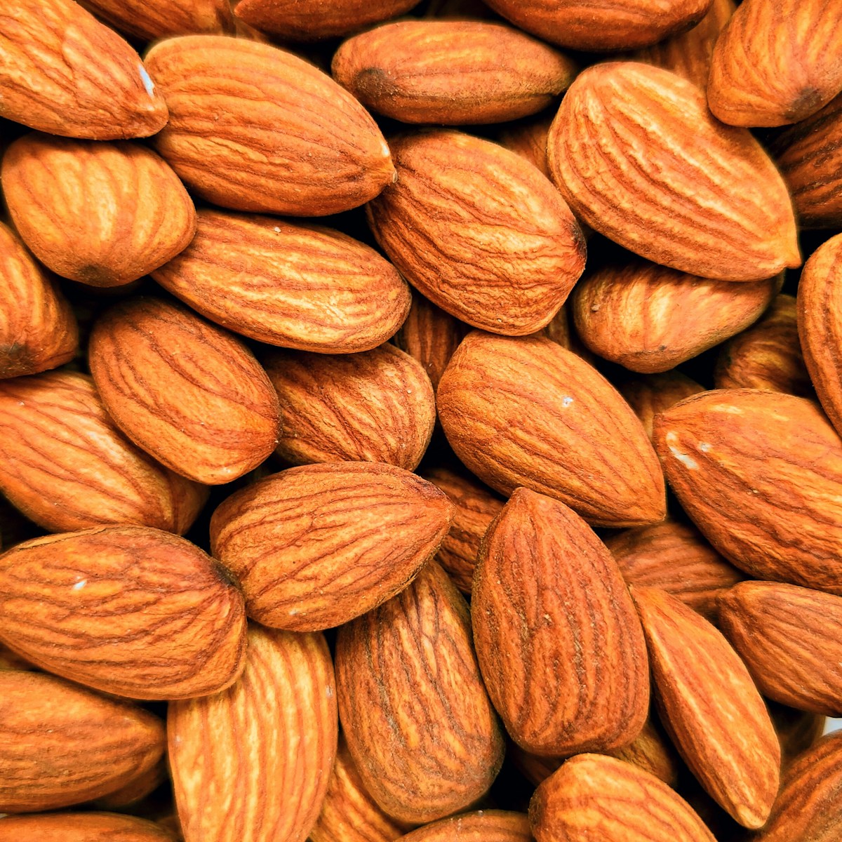 Portugal’s New Gold Rush: Almonds Drive the Country’s Agricultural Export Boom