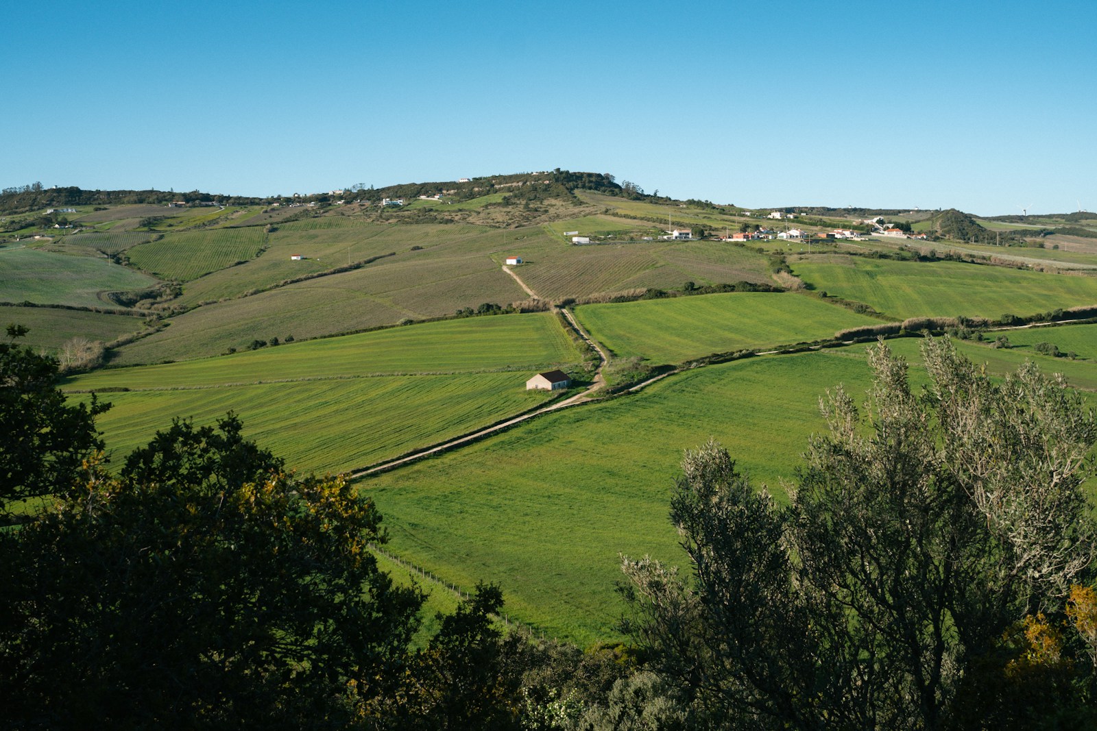 Portugal Extends Free Registration of Rural Land Plots Until September 2026