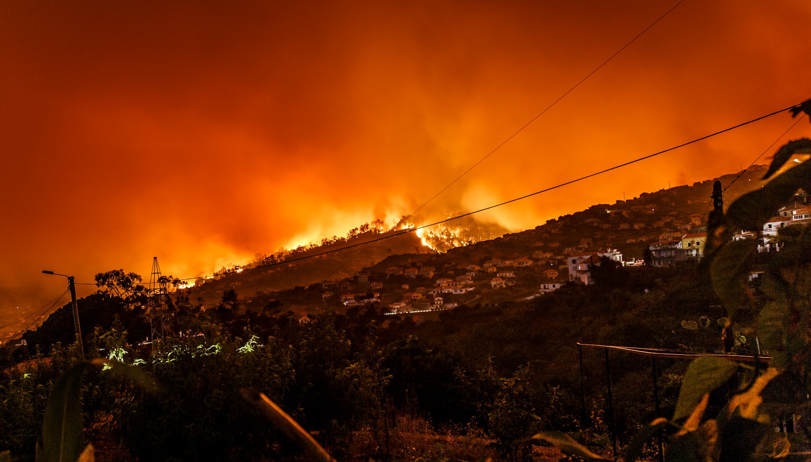 Wildfires in Portugal More Than Triple Since the Start of the Year